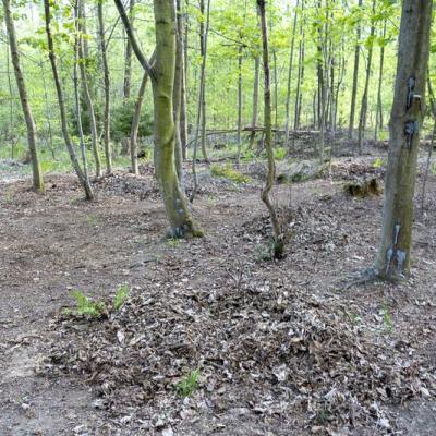 Paintball Opava 02