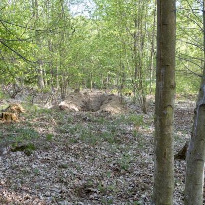 Paintball Opava 06